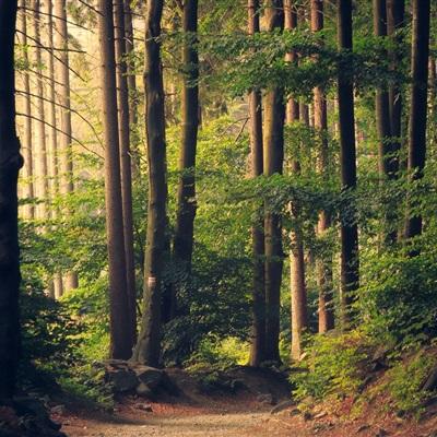 BOB体育官网下载入口