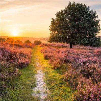 BOB体育官网下载入口