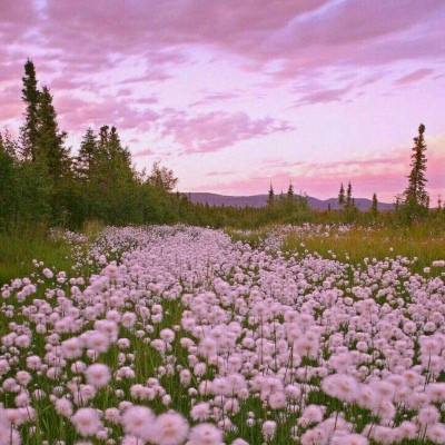 棋牌www官方网址入口