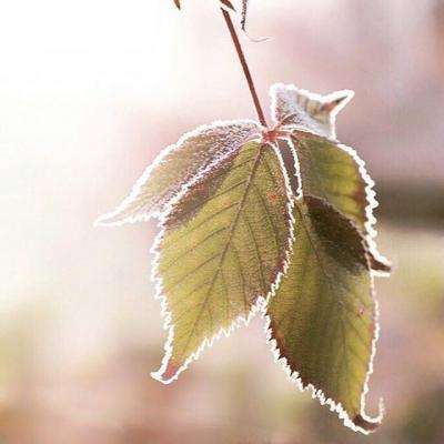 am8亚美ag旗舰厅官网app下载